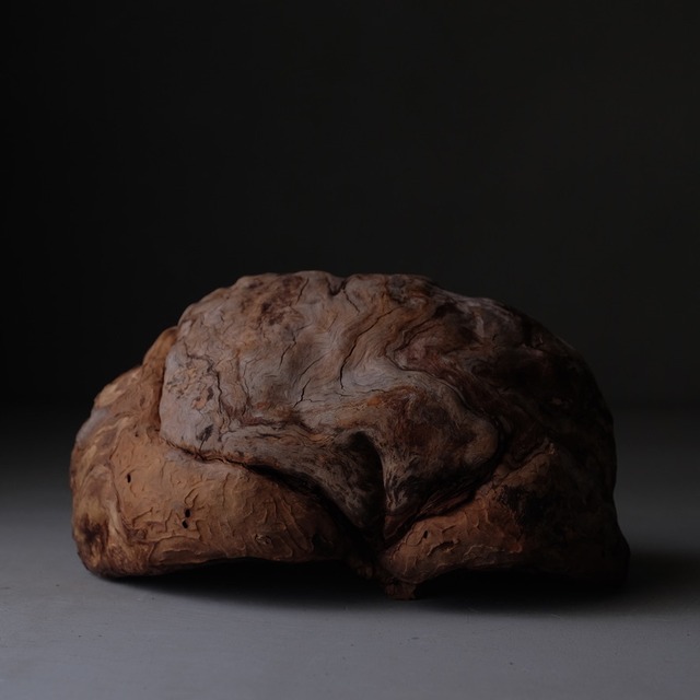 Tree burl