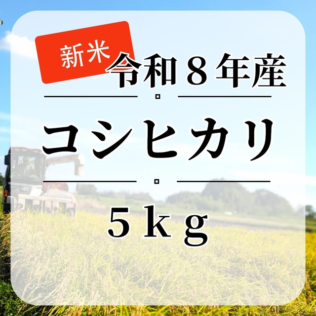 新米『とちぎの星』【玄米】内容量５kg・送料無料