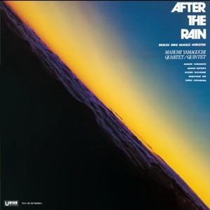 〈残り1点〉【LP】山口真文 - After The Rain