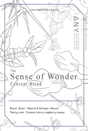【100g】The Sense of Wonder - センスオブワンダー - コンセプトブレンド