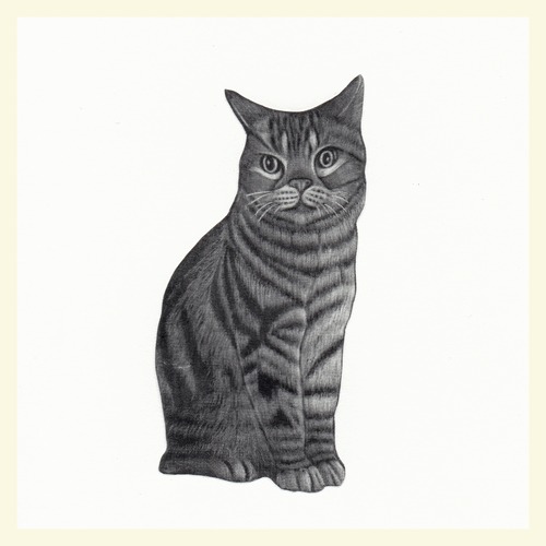 CAT6