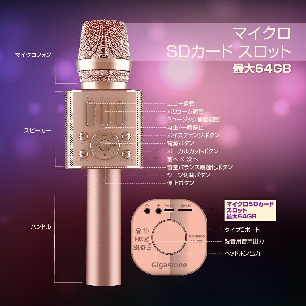 GIGASTONE カラオケマイクGJKM-8500 | WebSPorch!