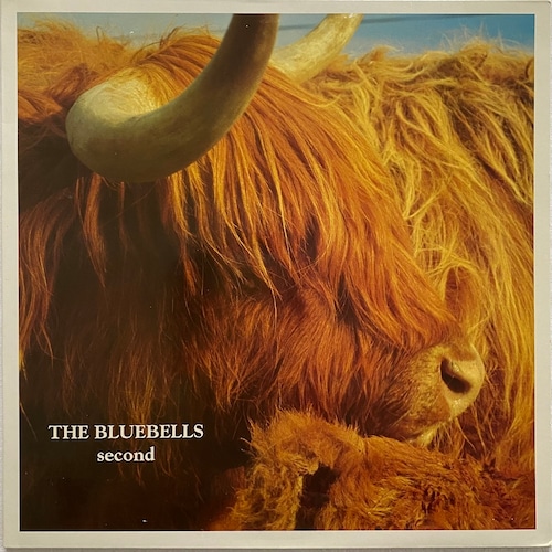 【LP】The Bluebells – Second