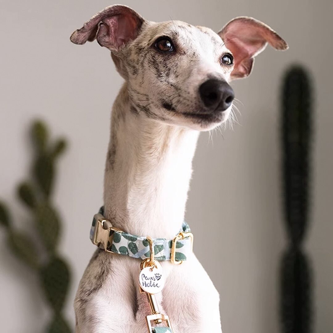 pawsholicオーダーメイド刻印迷子札 | Pay ID