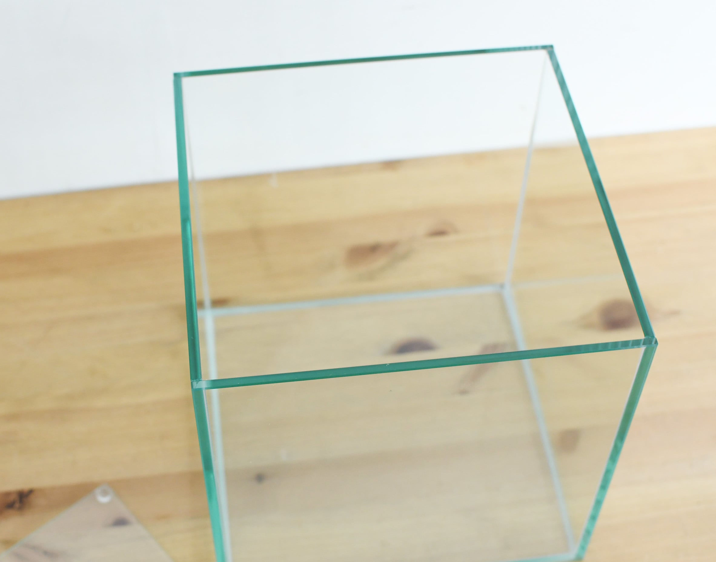 朽木苔 楽天市場】（テラリウム）苔 テラ向け おまかせ苔付流木 SS