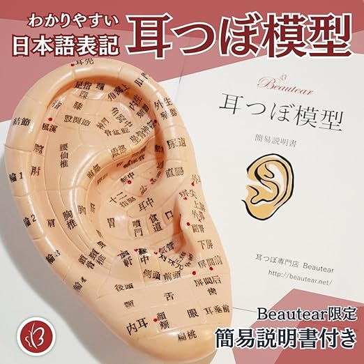 Beautear 耳模型 日本語版 17cm 耳つぼ模型 耳つぼジュエリー 日本語
