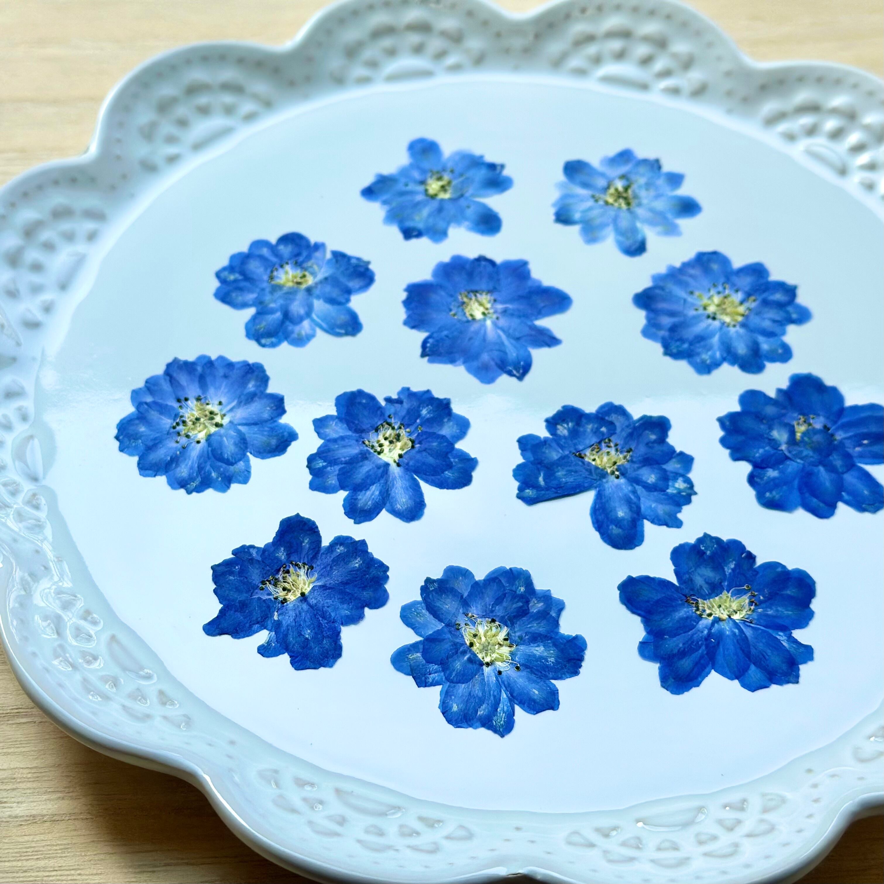 押し花】デルフィニウム(八重・青) 12輪 素材 花材 レジン キャンドル