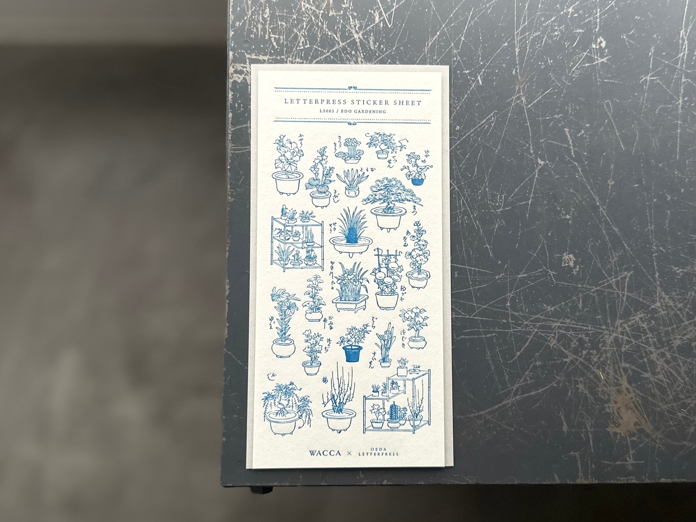 ”NEW"【限定色】"WACCA JAPAN コラボ" LETTERPRESS sticker sheet【EDO GARDENING/紺碧色】