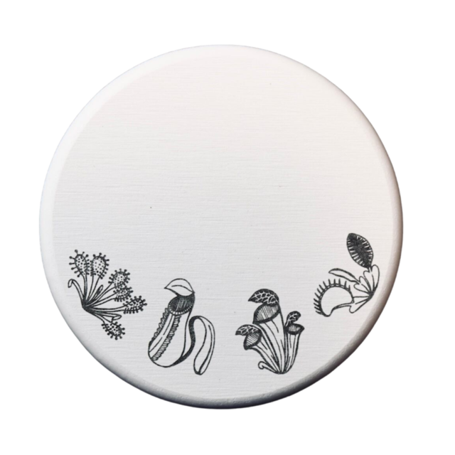 珪藻土コースター〈 食虫植物B 〉 モウセンゴケ ウツボカズラ サラセニア ハエトリソウ