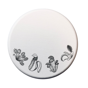 珪藻土コースター〈 食虫植物B 〉 モウセンゴケ ウツボカズラ サラセニア ハエトリソウ