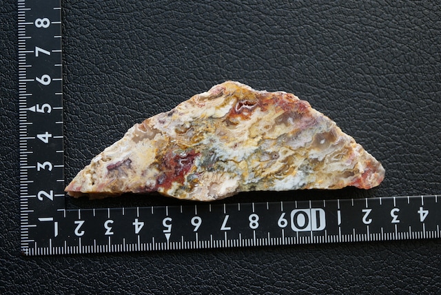 オレゴン州産プルームアゲート Graveyard Point Plume Agate 1880