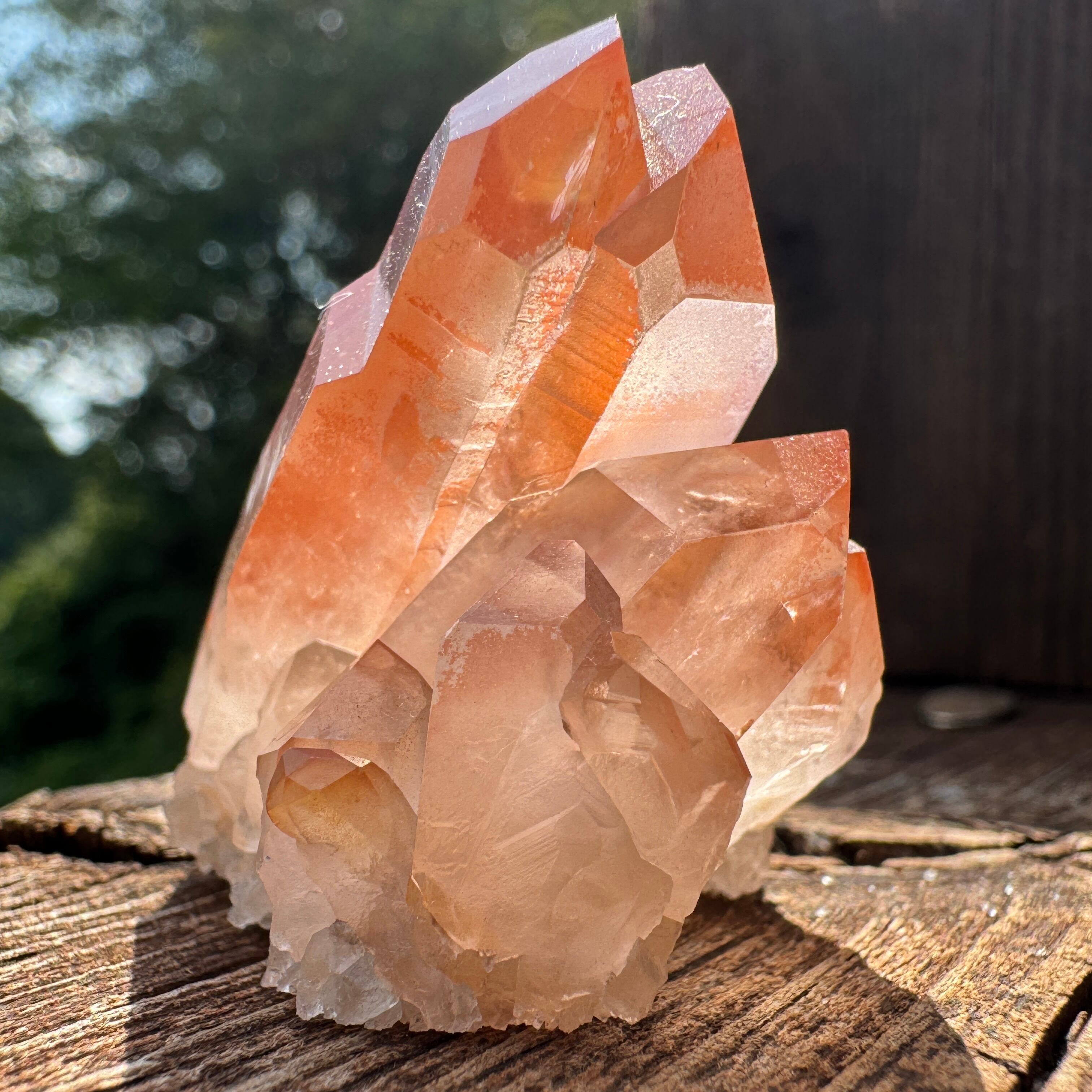 ピンクレムリアンシード クラスター ブラジル産 レムリアン ピンクレムリアンシード クラスター ブラジル産 レムリアン