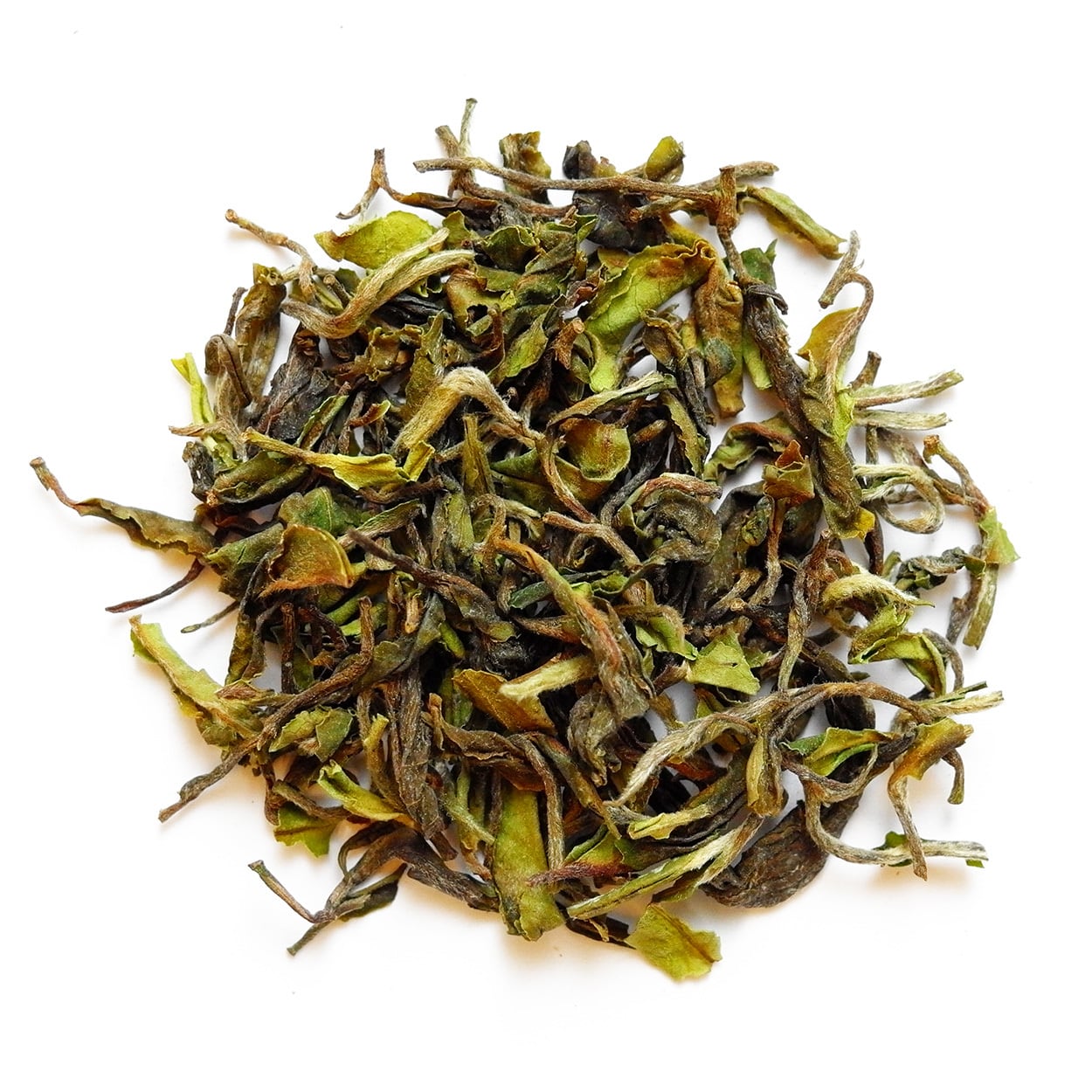 【2025春】Himalayan Spring ヒマラヤン・スプリング No.240 2025 Spring 40g