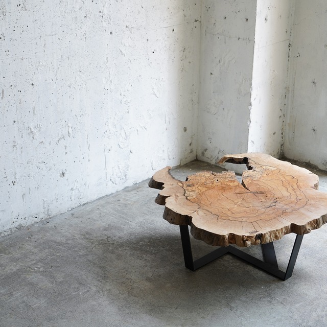 スポルテッド樫の輪切り　センターテーブル