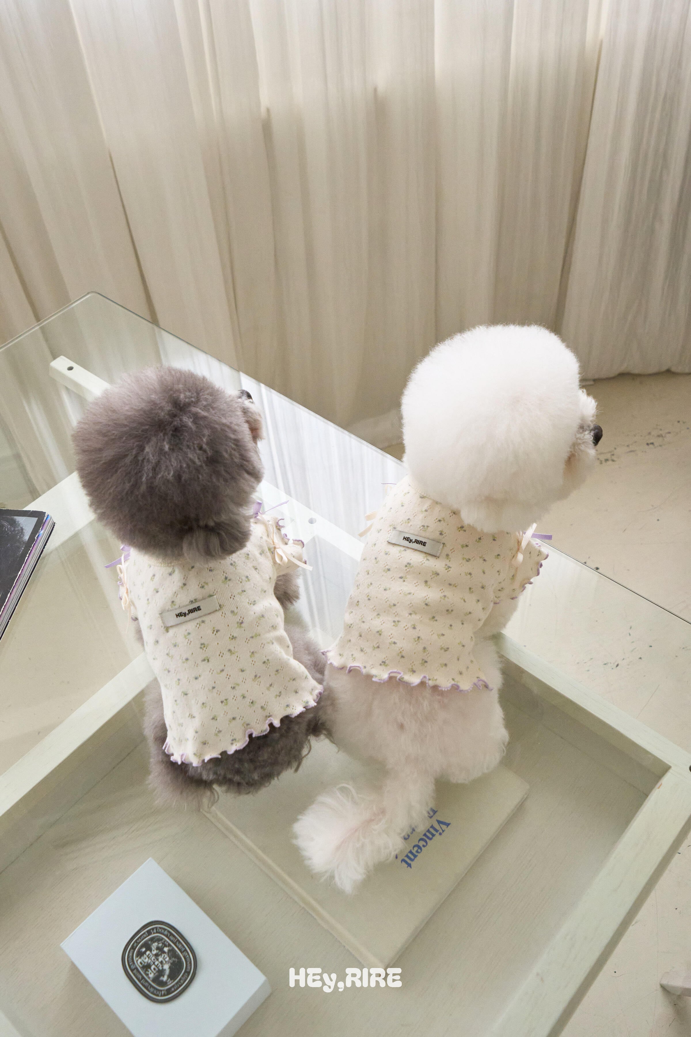 予約【HEy,RIRE】Petal Ribbon Top (Lavender Garden)