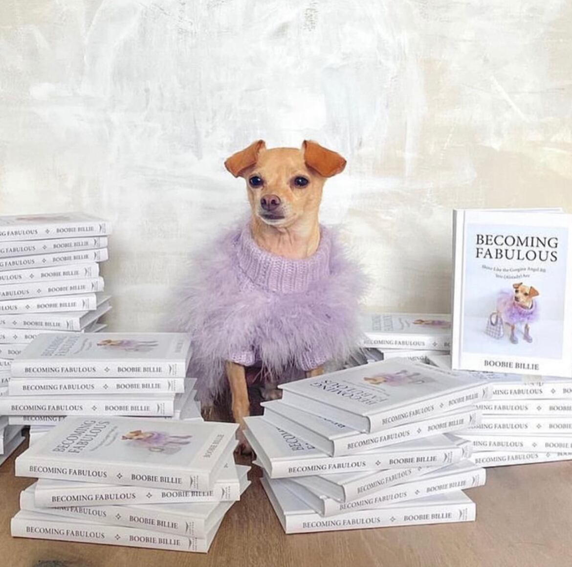 Christian Cowan x maxbone Jumper(lavender) | ote.