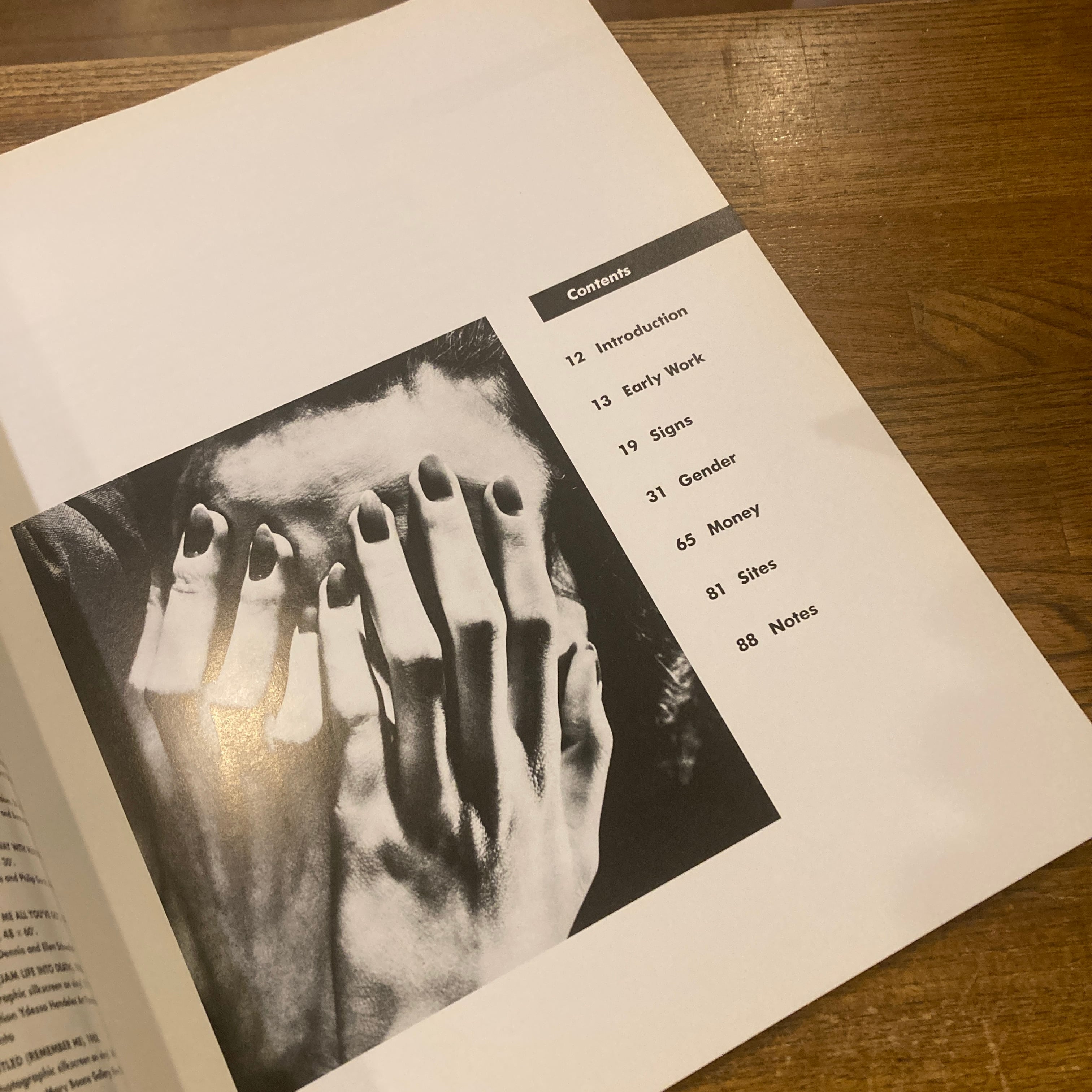 Love for sale: The Words and Pictures of Barbara Kruger / text