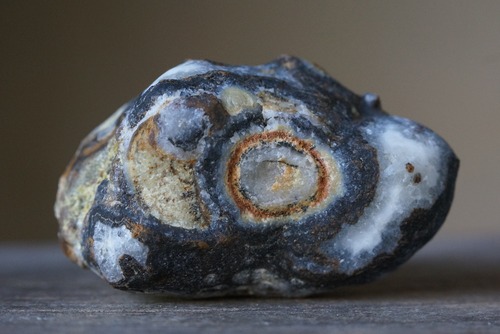 ゴビアゲート Gobi Desert Eye Agate 549
