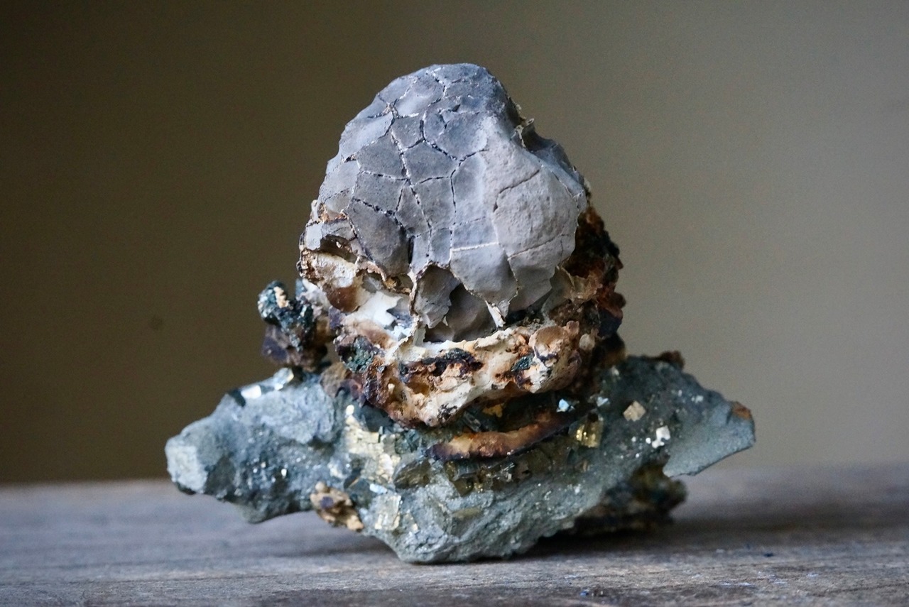 亀甲石 / パイライト 1  Septarian / Pyrite