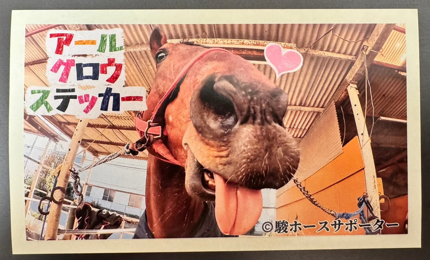 アールグロウ1ヶ月サポート | 駿ホースサポーター