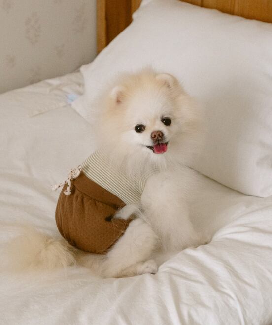 予約【noutti】Bebe All-in-One（brown）