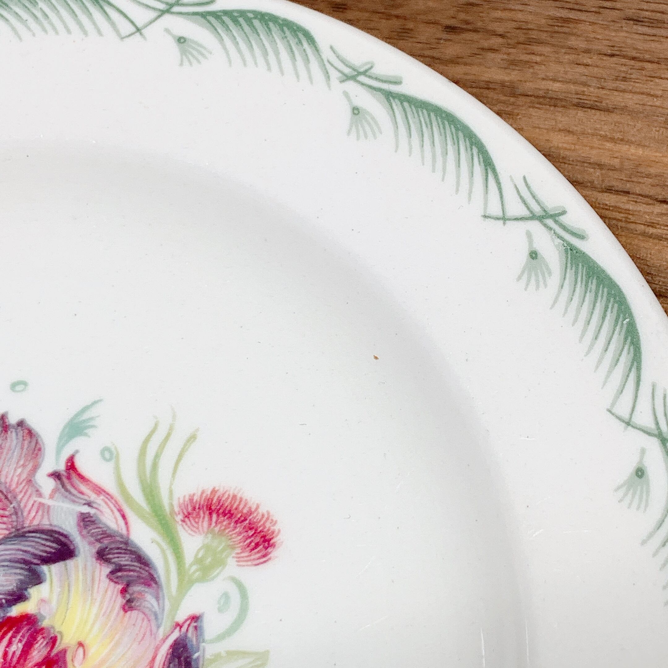 スージークーパー　パロットチューリップ　プレート（大皿） スージークーパー パロットチューリップ プレート15.4cm