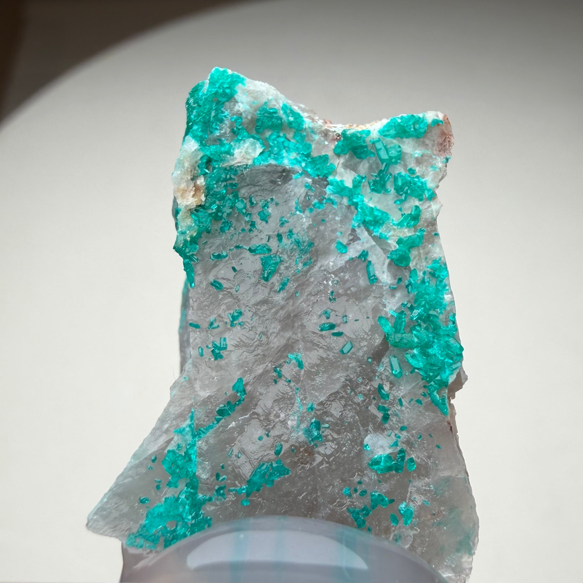 ダイオプテーズ / カルサイト【Dioptase on Calcite】ナミビア産
