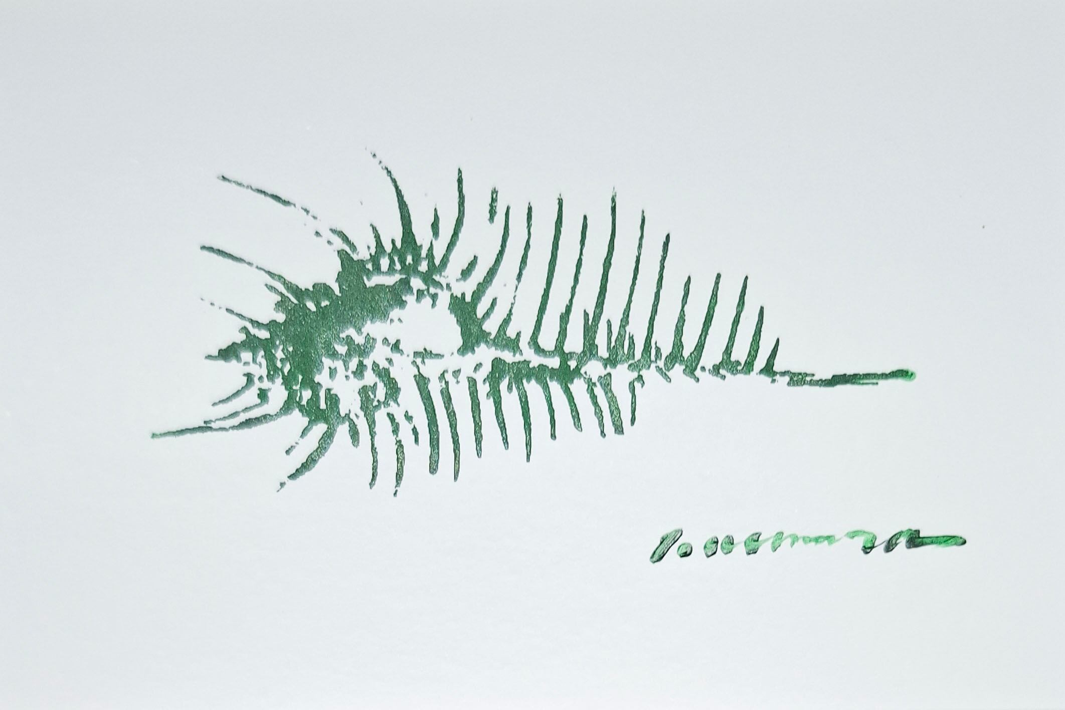木版画「宝多の棲む村②」 Specimens of Memory No.2 Venus comb murex」 植村友哉 紙、アクリル
