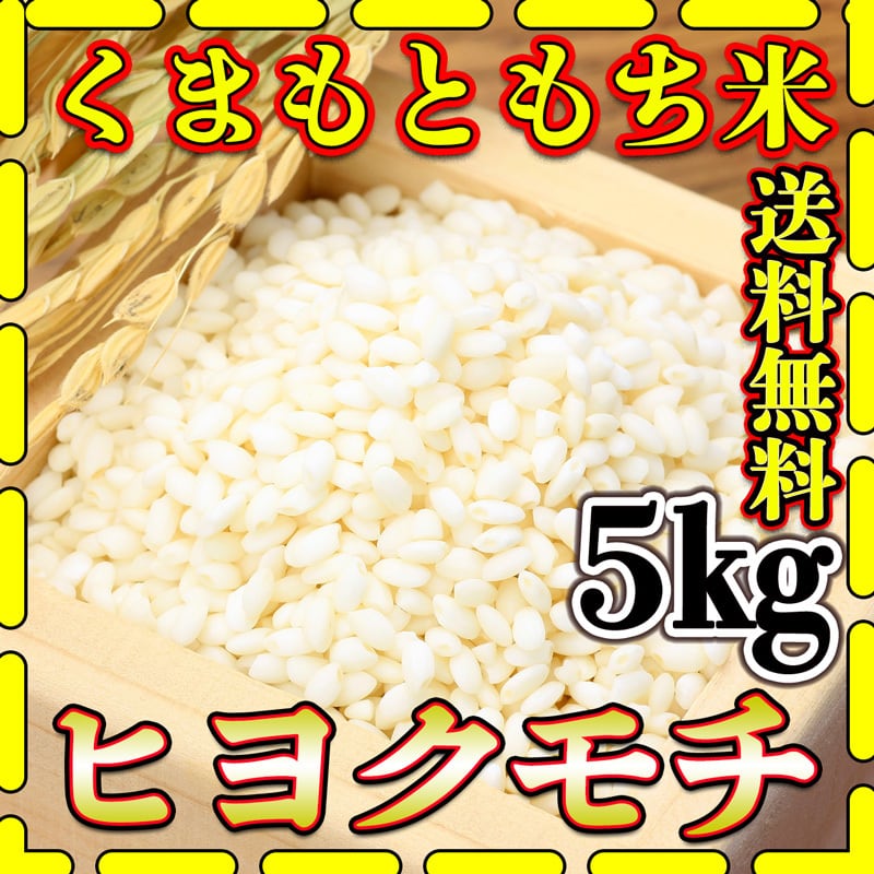 お米 米 5kg 白米 送料無料 熊本県産 ヒヨクモチ もち米 令和4年産