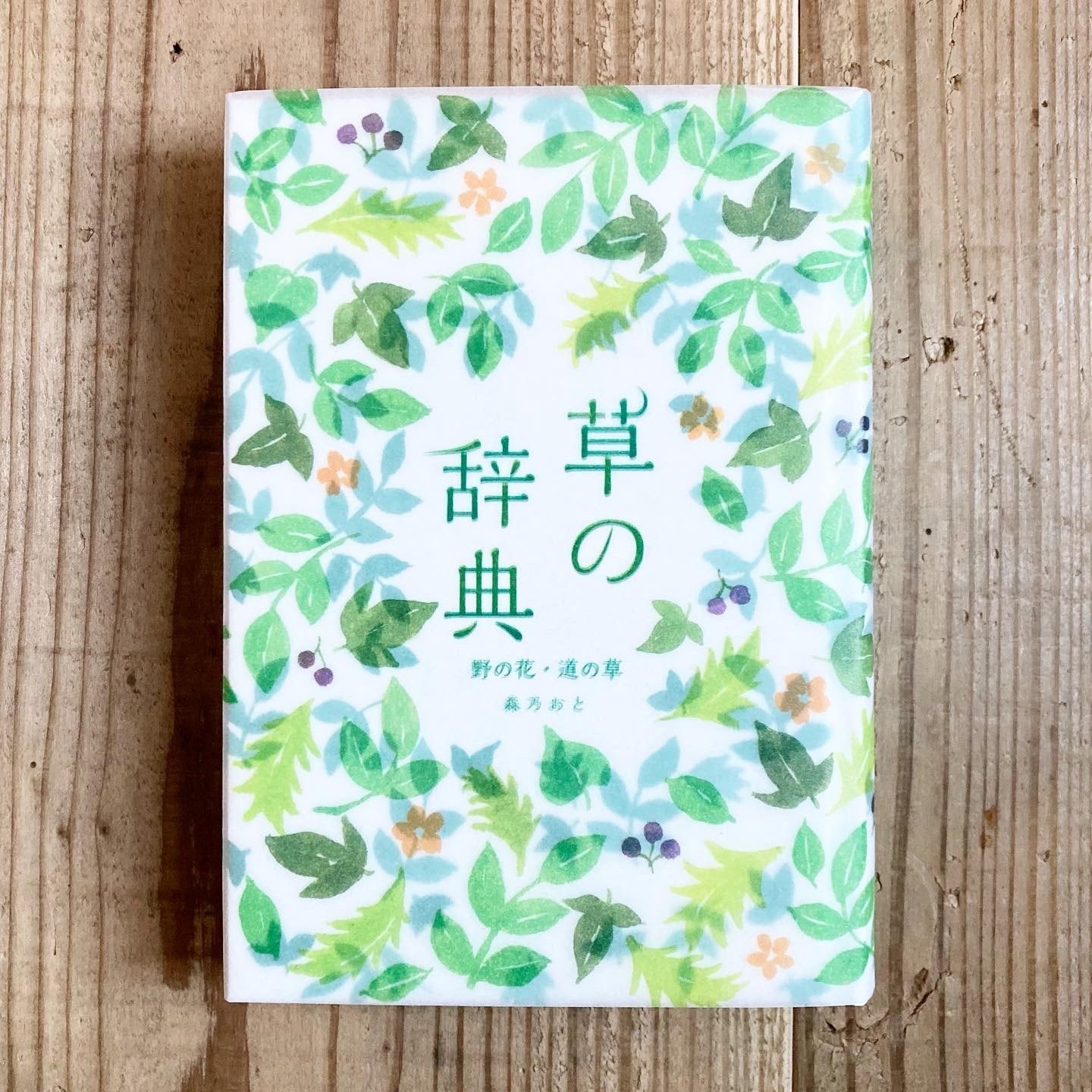 草の辞典 野の花・道の草 | 書店リコッタ