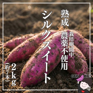 【農薬不使用・滋賀県産】熟成さつまいも　シルクスイート（2kg）