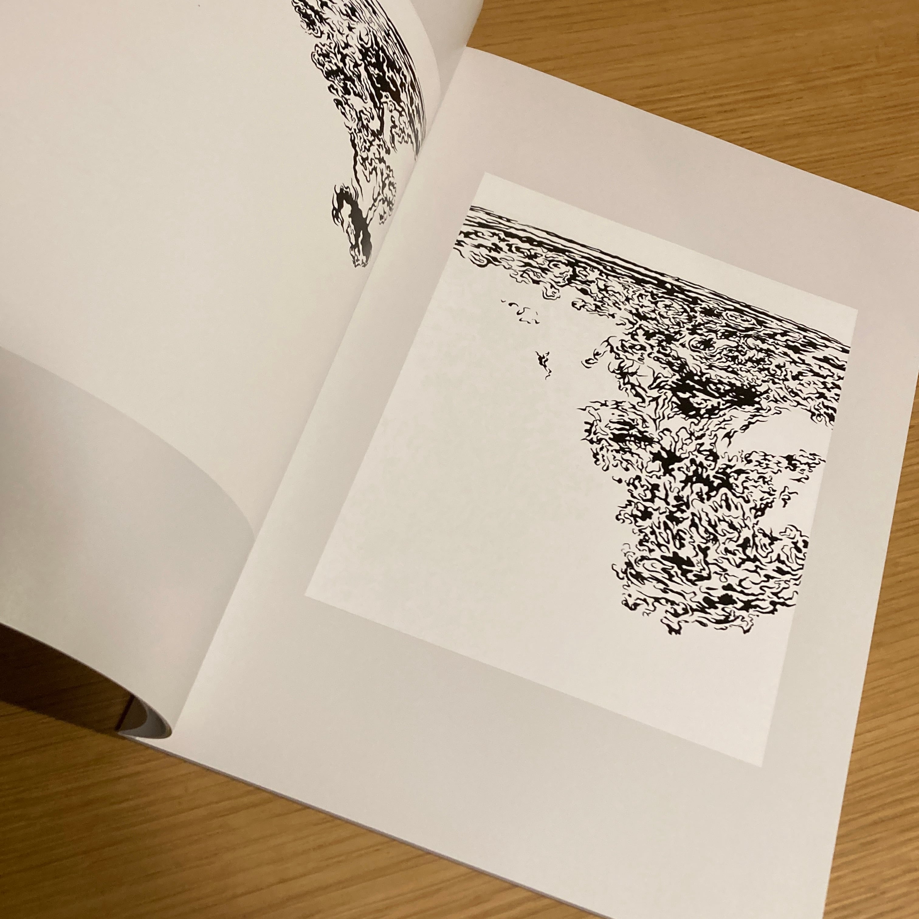Water / Kiyoshi Kuroda 黒田潔 | 百年