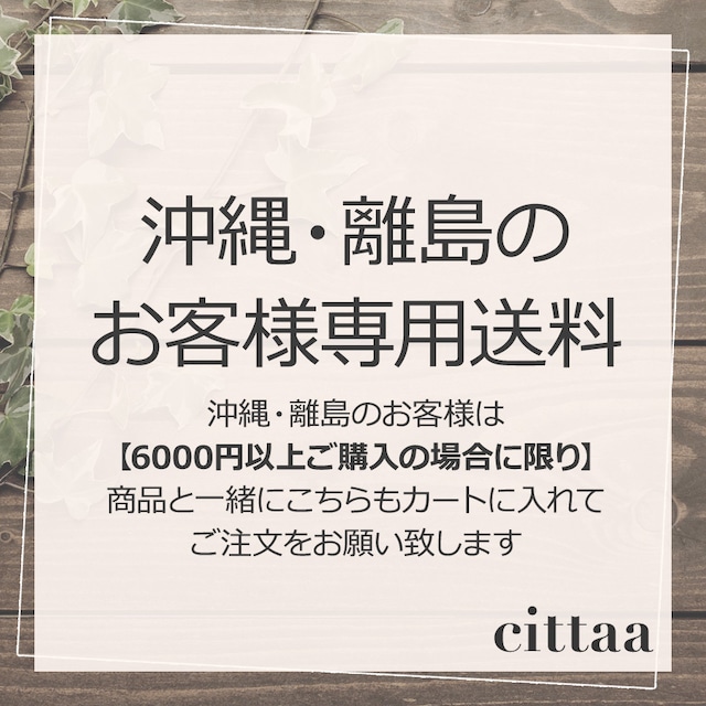 【沖縄・離島】のお客様専用送料