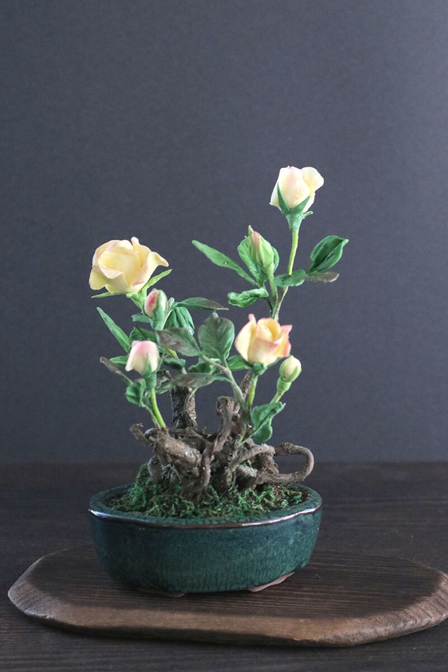盆栽 ミニ薔薇 Mini rose Bonsai #137 | Oh! BONSAI