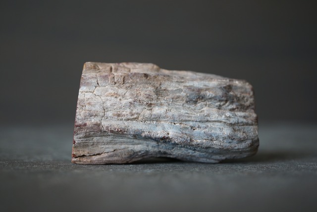 珪化木 ペトリファイドウッド Petrified Wood 1211~1216