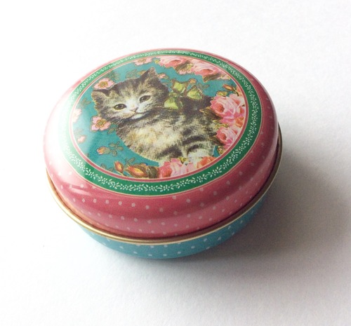 froy&dind(フロイ＆ディンド) tin box ティンボックス　お花と子猫