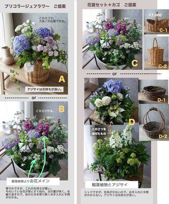 寄せ植え❣️オーダー受け付けます❣️