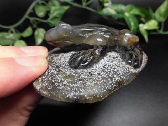 【送料無料】【高品質】ラブラドライトカエル　no.1