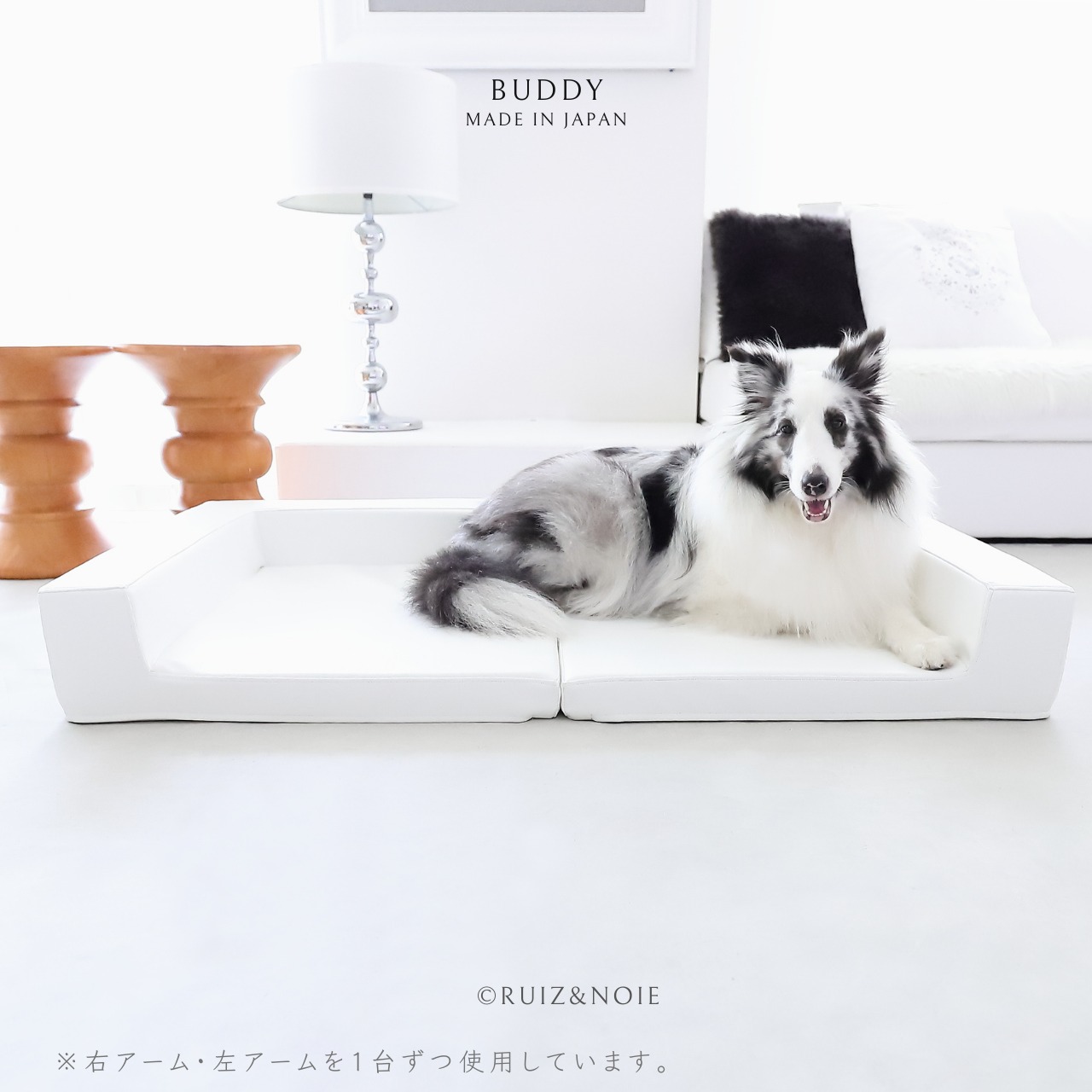 BUDDY DOG&CAT BED  WHITE　