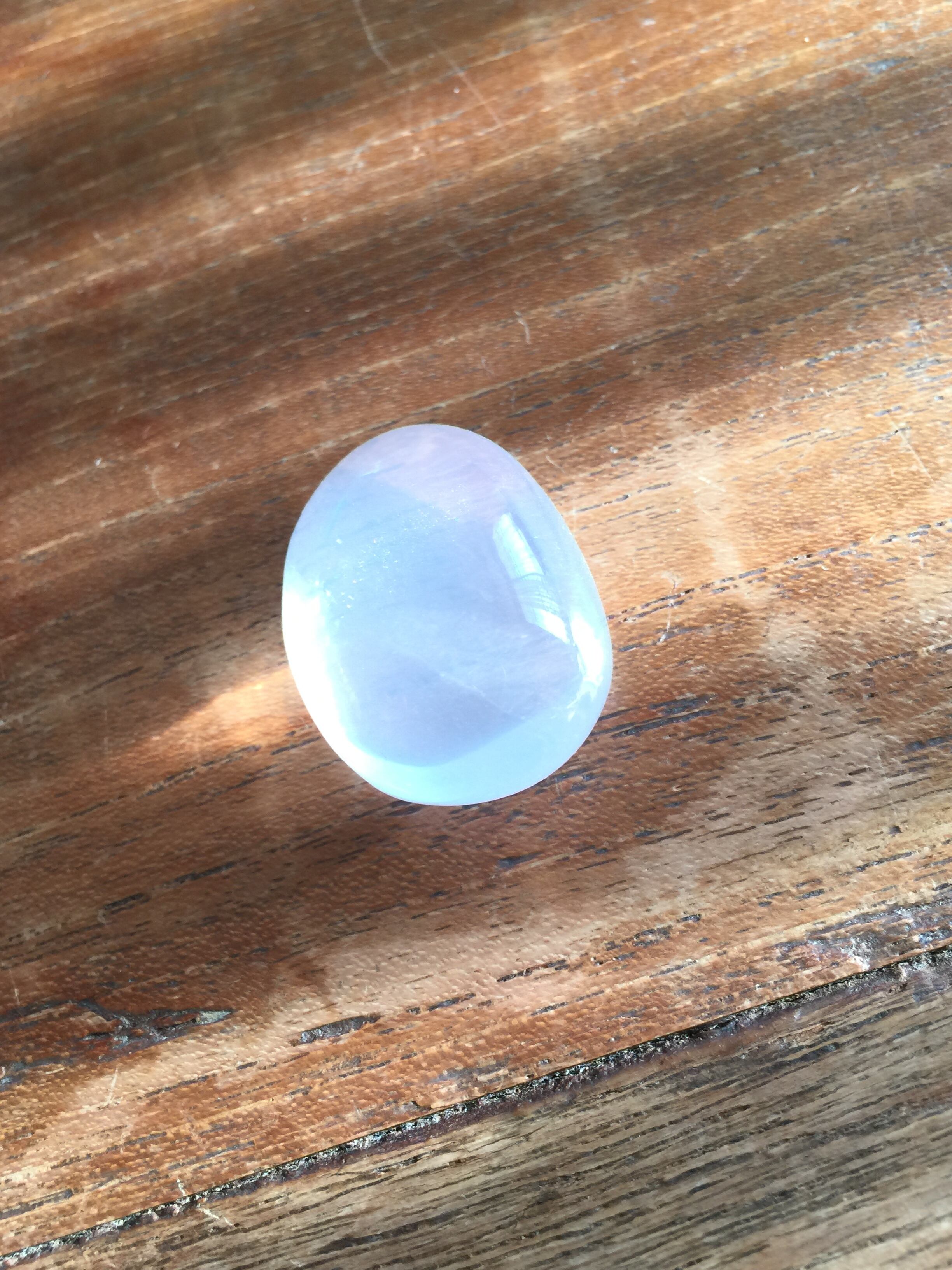 メタモルフォーゼス