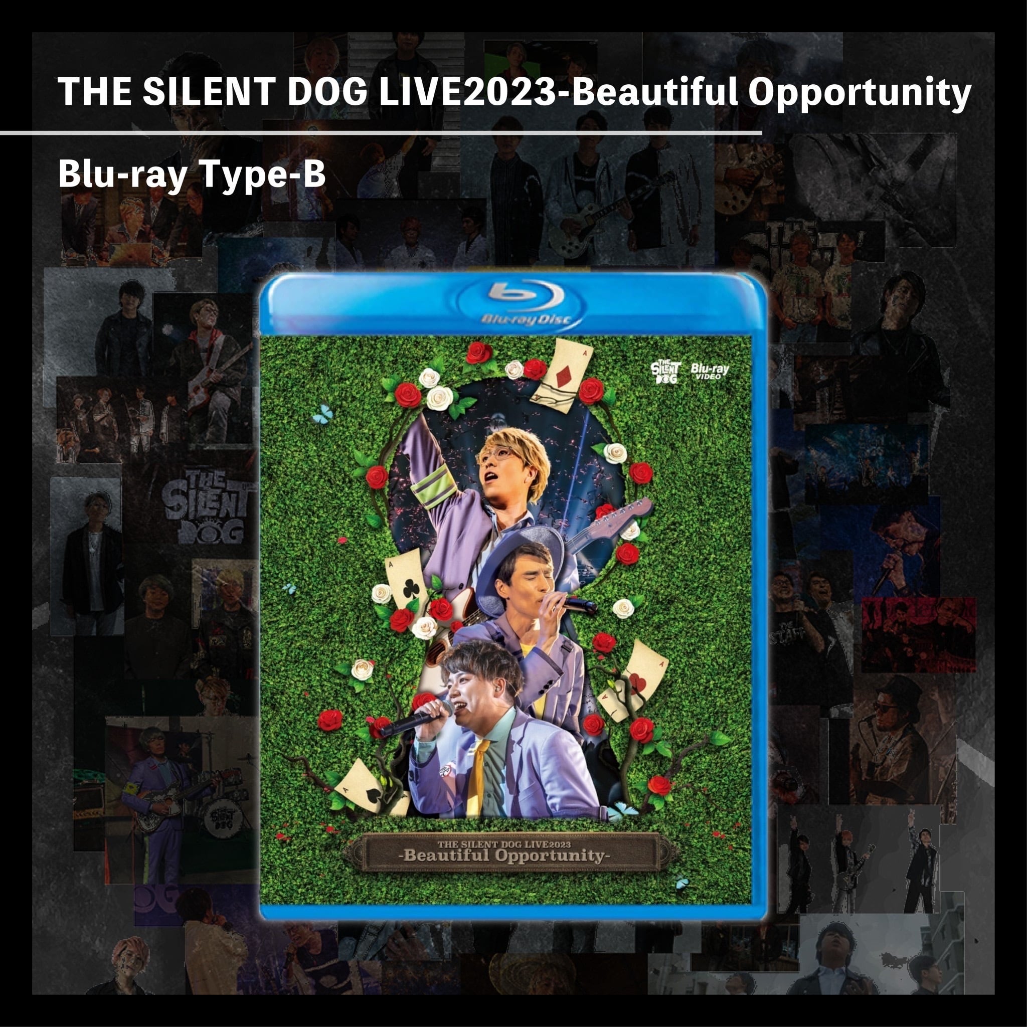 THE SILENT DOG LIVE2023-Beautiful Opportunity-Blu-ray | ROUTE 1940