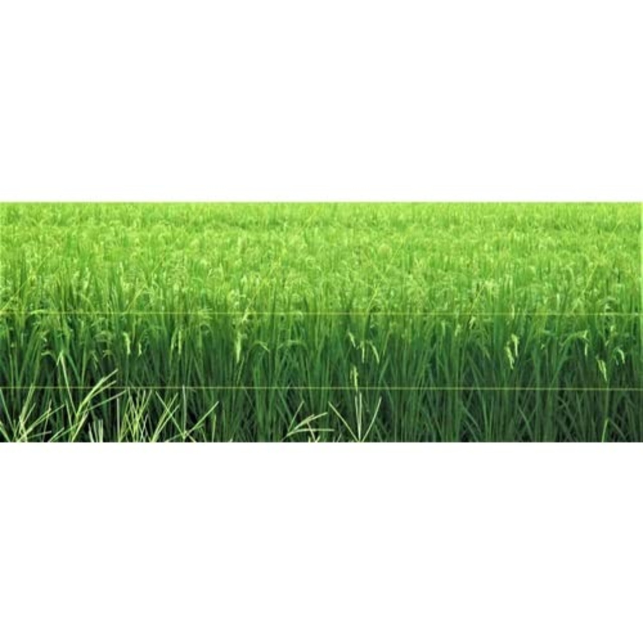 TRUSCO(トラスコ) 防鳥用光る糸 イエロー 線径0.44mmx500m BP500Y