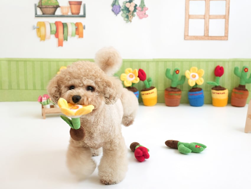 gardening snack toy  / ノーズワーク ペット 犬 おもちゃ 音が鳴る 知育玩具 ノーズワーク おやつ隠し 可愛い わんちゃん ストレス解消 インスタ映え