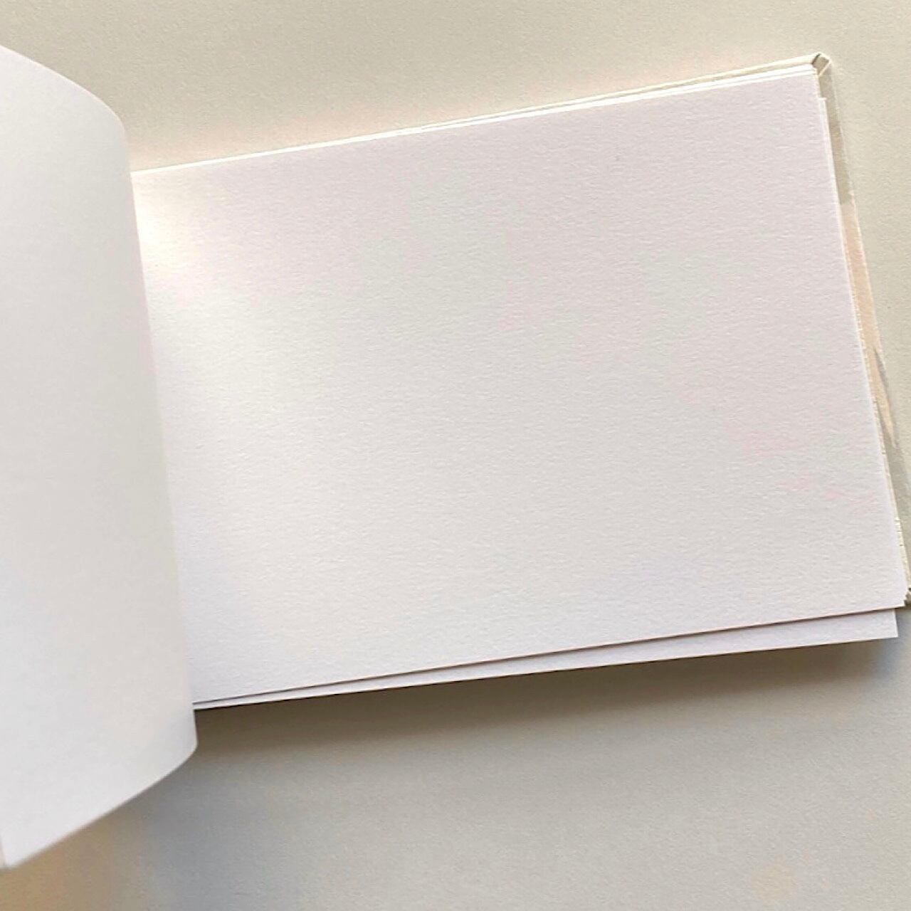 サイン帳 ハシビロコウ