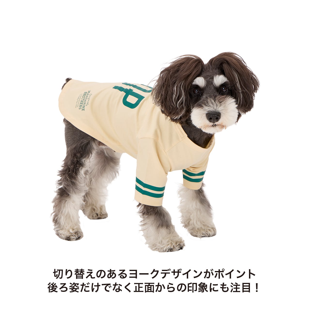 LONG SLEEVE T-shirt（XL.XLB.XXL） ロングスリーブTシャツ