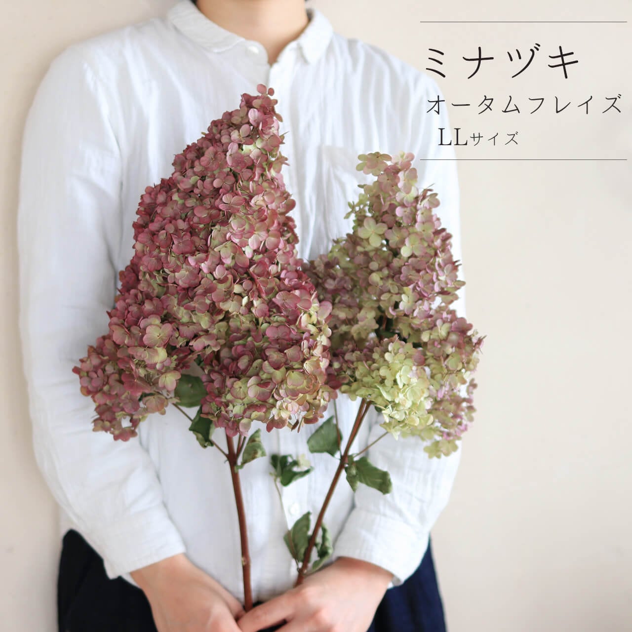 紫陽花のドライフラワーリース *ミナヅキハンドメイド