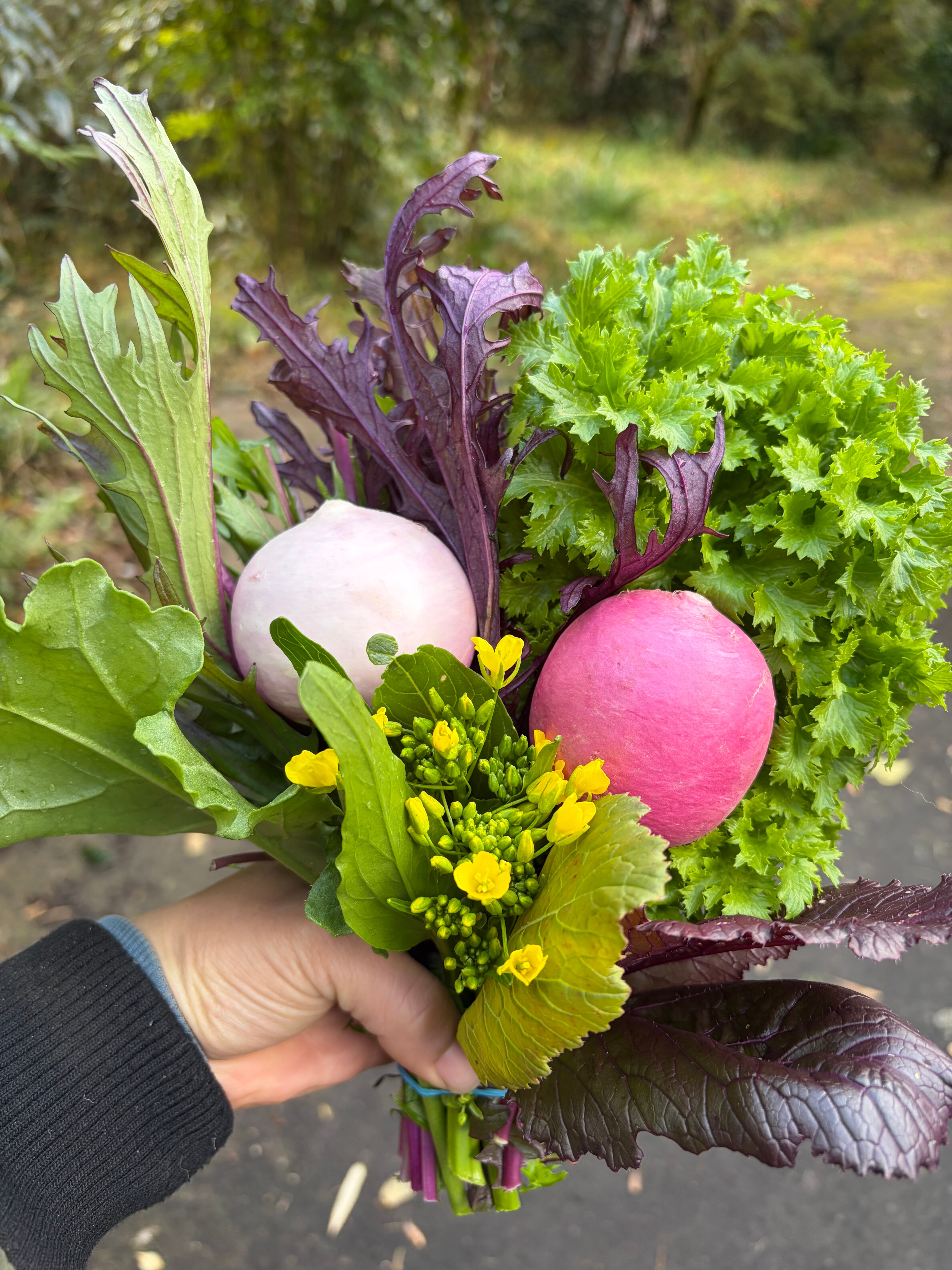 4e6b260b52d0a76cef8185a4736248