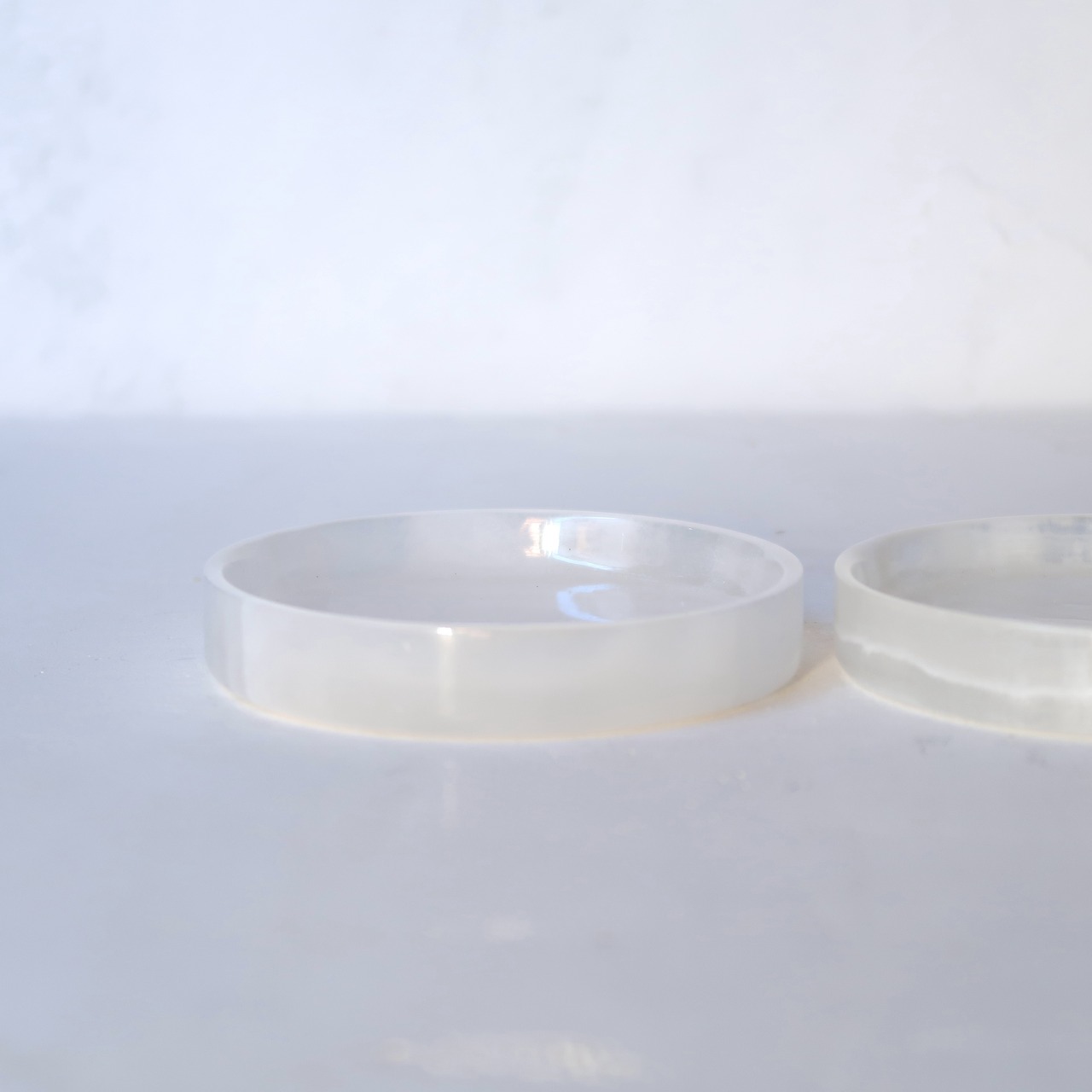 シャーレのようなジュエリートレイ