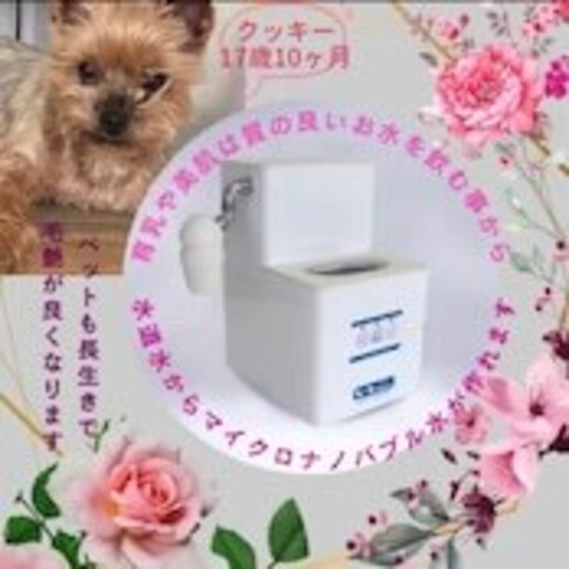 家庭用酸素ナノバブル水・酸素マイクロバブル水生成器ビバ（Vivawa 