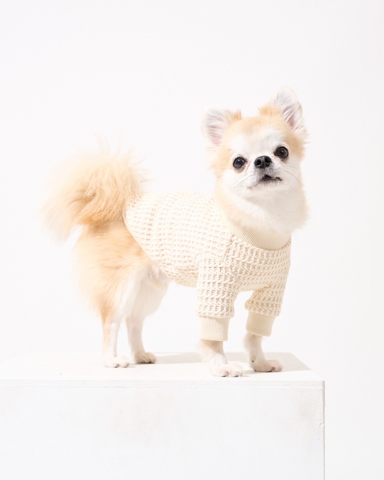 ワッフルニット　プルオーバー　ベージュ